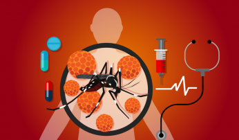 Mesmo com a pandemia não vacile com mosquito da dengue